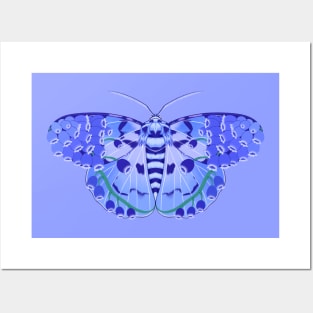 Hyacinth Tiger Moth Posters and Art